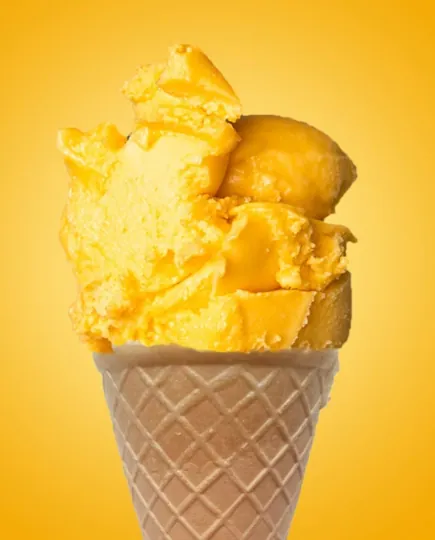 Hurtownia sorbetów owocowych - lody mango dla kawiarni