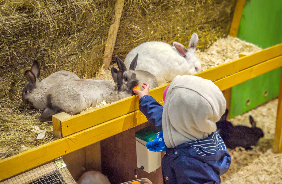 Adventure – Park Przygody Gubałówka