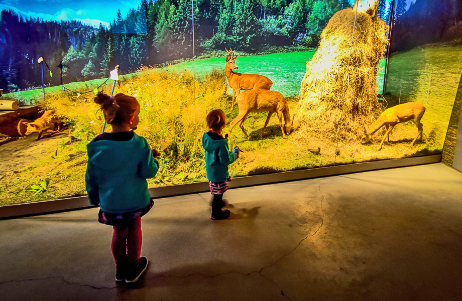 muzeum Centrum Edukacji Przyrodniczej TPN