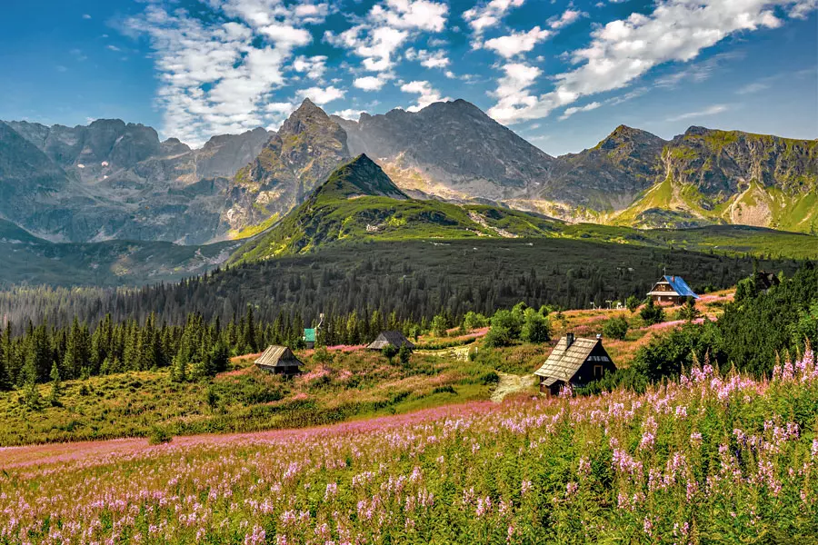 Tatry Hala Gąsienicowa 